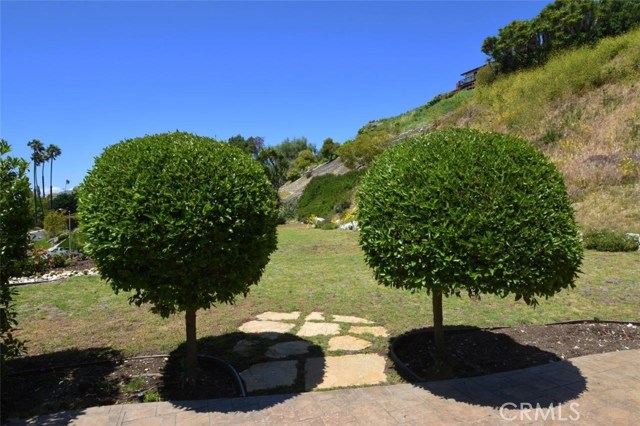 Patio & Side Yard Patio & Side Yard