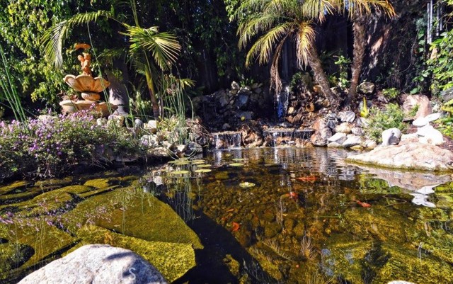 Waterfall and Pond with 6 Koi Fish.