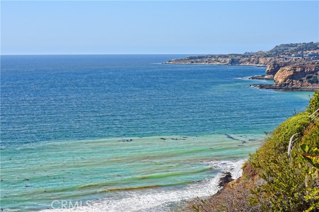 Still more of the wide-angle panoramic unobstructed view!