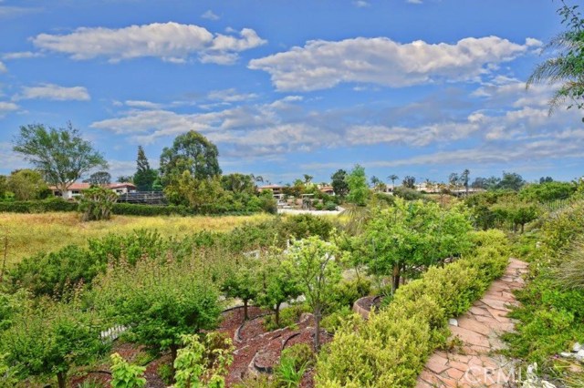 Lower Terrace in the Backyard