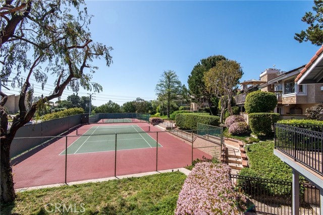 Tennis Courts!
