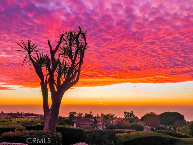 29335 Stadia Hill Lane, Rancho Palos Verdes, California 90275, 4 Bedrooms Bedrooms, ,3 BathroomsBathrooms,Residential,Sold,Stadia Hill,PW20069326