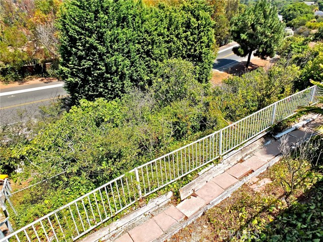 Looking down the slope from the deck to the tree orchard.