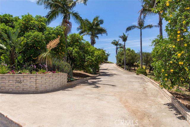 755 Hawks View Way