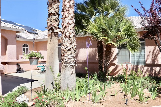 Lots of yard in the front of the house.  Private front patio located on the right side of the front door.