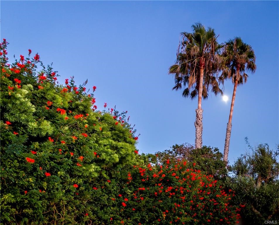 273 Rocky Point Road, Palos Verdes Estates, California 90274, 4 Bedrooms Bedrooms, ,4 BathroomsBathrooms,Residential,Sold,Rocky Point,SB19086086