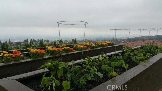 1000 Calle Stellare, Rancho Palos Verdes, California 90275, 2 Bedrooms Bedrooms, ,2 BathroomsBathrooms,Residential,Sold,Calle Stellare,OC17140660