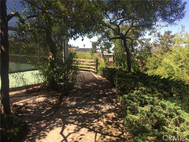 A peaceful walking path