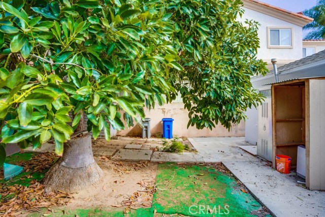 yard behind front house
