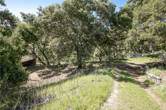 Driveway to barn or RV parking