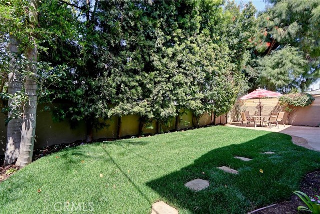 Grassy backyard