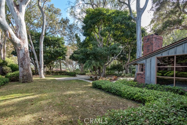 Looking at the front yard from house