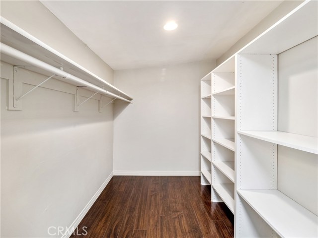 Walk-in Closet in Master Bedroom