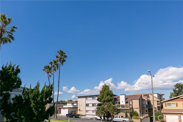 View from the patio