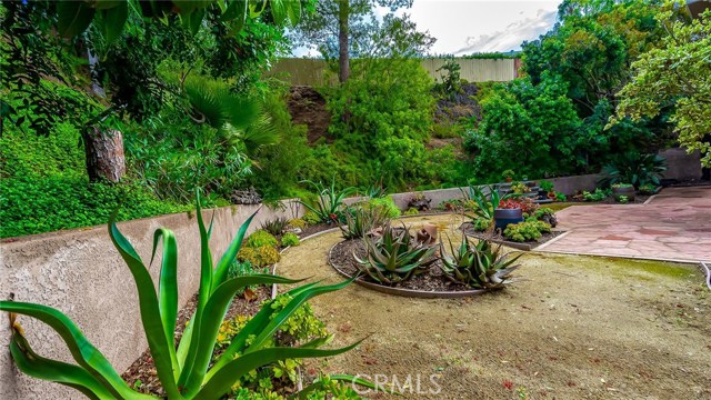 Lots of gardening options!