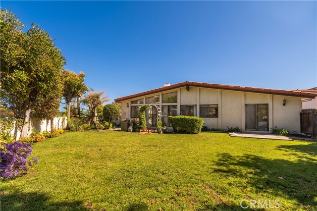 Large spacious backyard