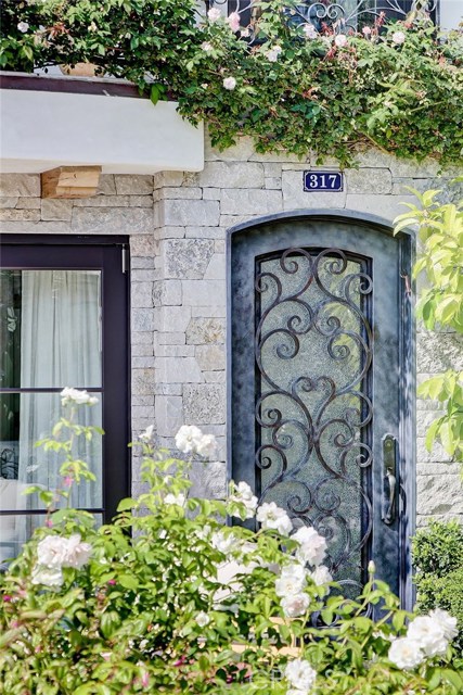 Entry door with wrought iron