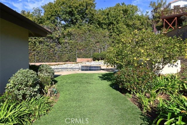 Drought tolerant, maintenance free turf yard