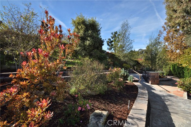 Terraced Walking Path