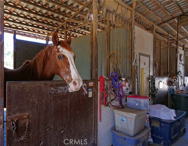 26811 Eastvale Road, Palos Verdes Peninsula, California 90274, 5 Bedrooms Bedrooms, ,2 BathroomsBathrooms,Residential,Sold,Eastvale,SB21137760
