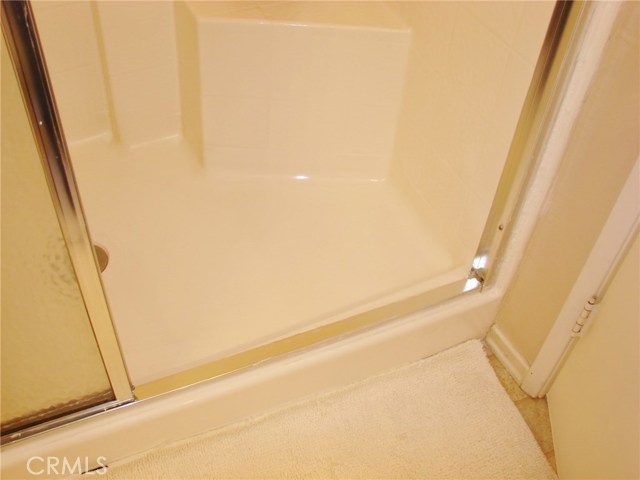 THE MASTER BATHROOM HAS A HANDICAPPED FRIENDLY, EASY STEP-IN SHOWER. THERE'S 2 SEATS INSIDE SHOWER.