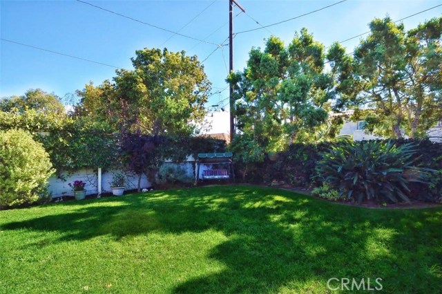 Grassy portion of the backyard