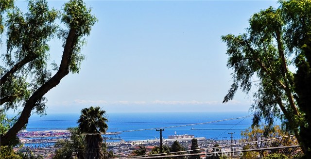 Oh Say Can You SEA!!! From LA Harbor to Long Beach including the Vincent Thomas Bridge.