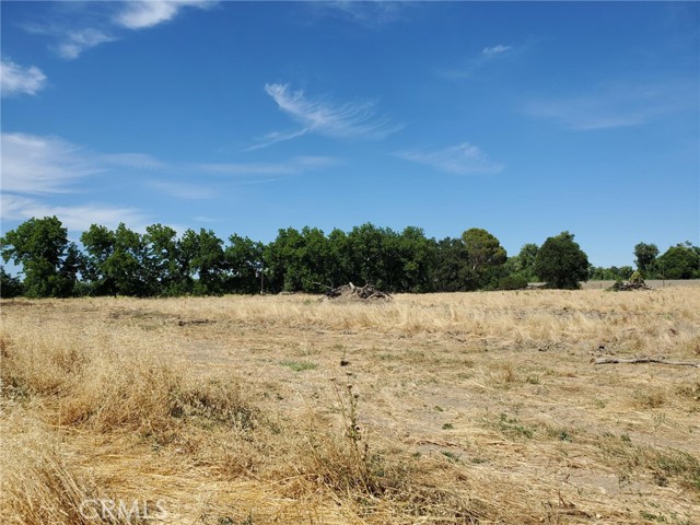 Detail Gallery Image 1 of 1 For 0 45 Hwy, Colusa,  CA 95932 - – Beds | – Baths