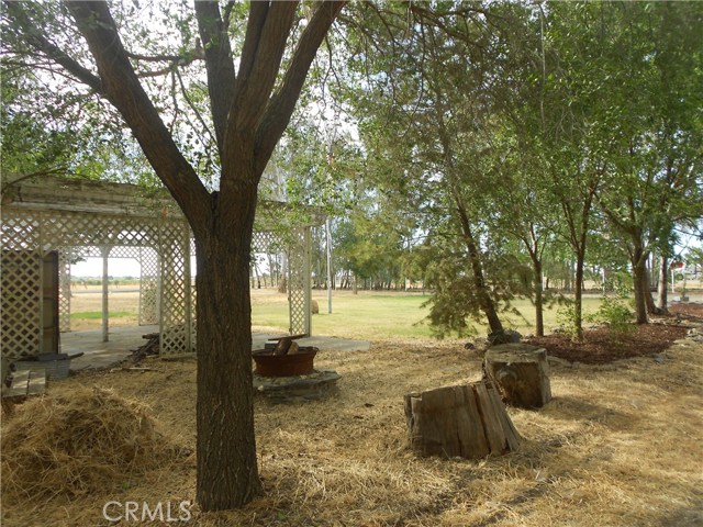 Front yard. and fire pit.