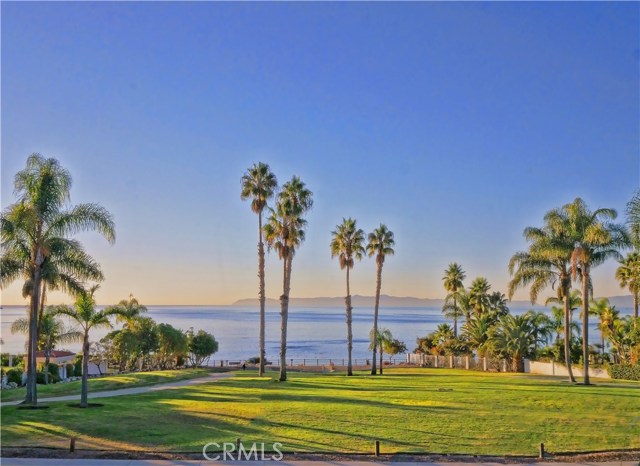 View across Vanderlip Park of Catalina Island and the Pacific Ocean.