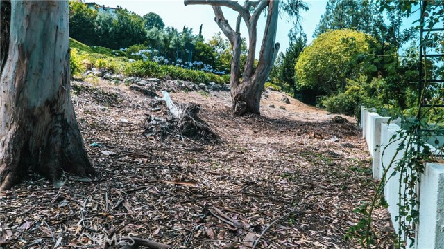 Rustic area behind the property