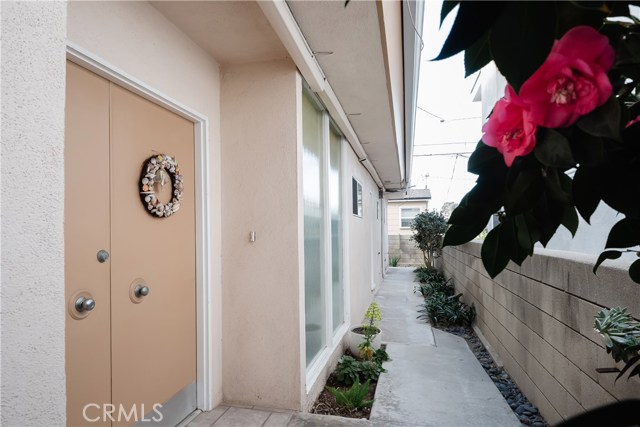 Mid century style front double doors