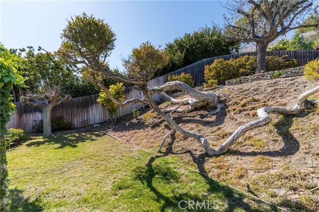 Grassy area adjacent to pool