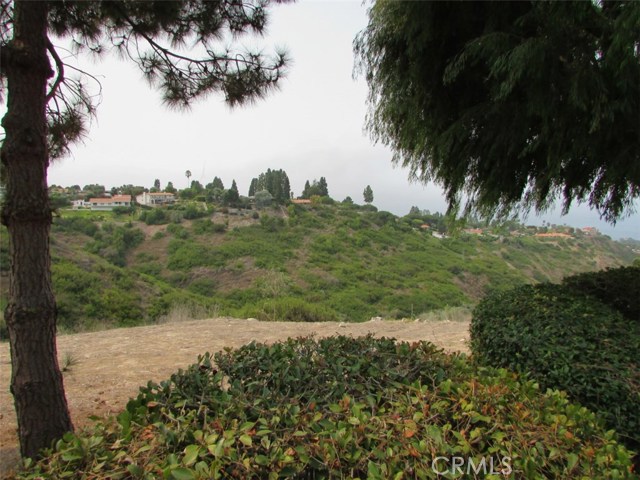 29512 Baycrest Drive, Rancho Palos Verdes, California 90275, 5 Bedrooms Bedrooms, ,2 BathroomsBathrooms,Residential,Sold,Baycrest,PV20173484