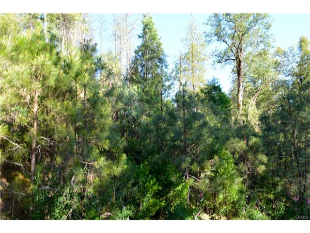 50 Dogwood Creek Drive