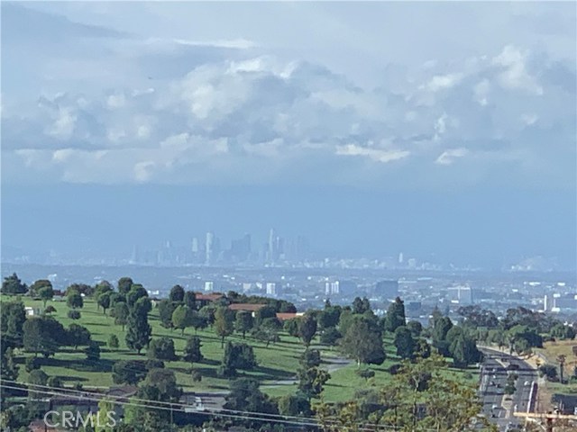 View from backyard of Green Hills, downtown LA and mountains.