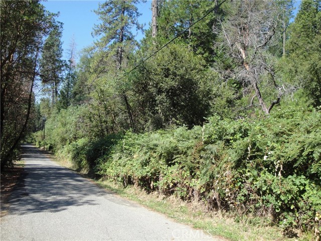 Detail Gallery Image 3 of 8 For 0 Meadow Ln, Berry Creek,  CA 95916 - – Beds | – Baths