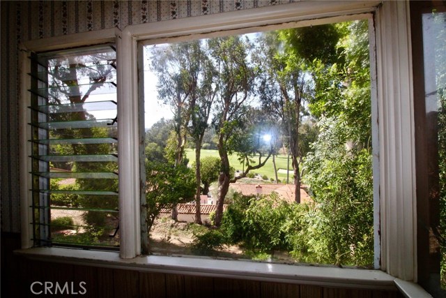 Golf Course View through Kitchen Window