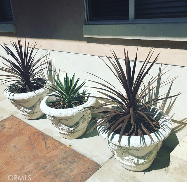 618 Guadalupe Avenue, Redondo Beach, California 90277, 3 Bedrooms Bedrooms, ,3 BathroomsBathrooms,Residential,Sold,Guadalupe,SB18086134