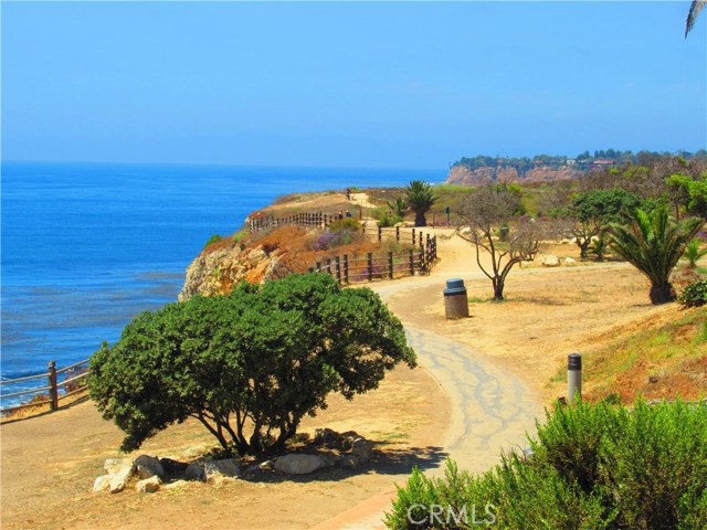 Conveniently located to walk, hike or run along the Bluffs overlooking the Pacific Ocean.