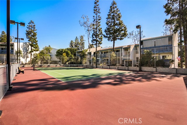 Newly renovated Tennis Courts