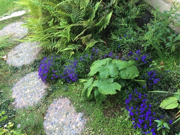 Walkway – Impatiens, fern, and baby tears to beautifully line your path.