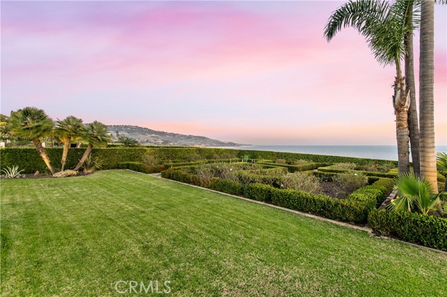 A beautiful hedged garden on the back edge of the property