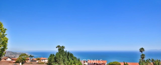 Panoramic Ocean & PV Coastline View