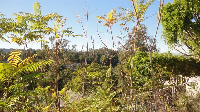 2746 Loftyview Drive, Torrance, California 90505, 3 Bedrooms Bedrooms, ,1 BathroomBathrooms,Residential,Sold,Loftyview,SB17262870 2746 Loftyview Drive, Torrance, California 90505, 3 Bedrooms Bedrooms, ,1 BathroomBathrooms,Residential,Sold,Loftyview,SB17262870