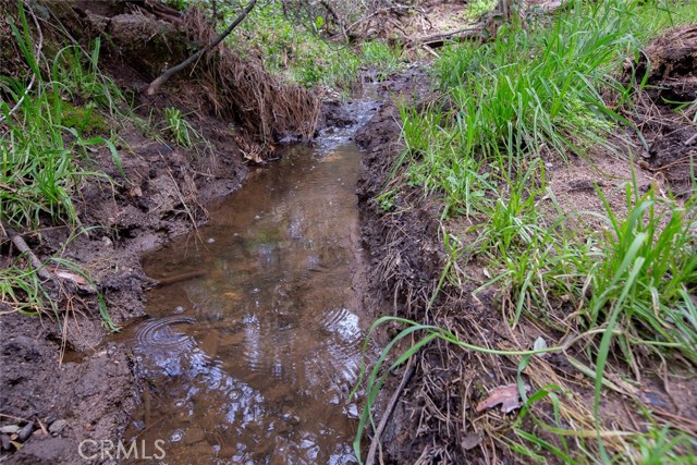 Seasonal creek bordering the property on two sides.