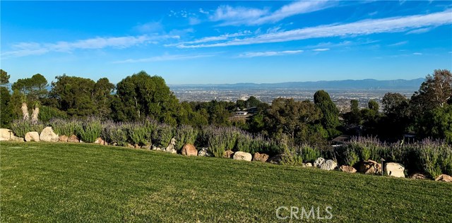 Grassy Lawn and Clear View Day of the LA Basin and Mountains Beyond.