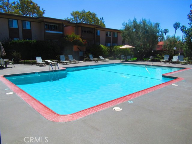 COMMUNITY POOL