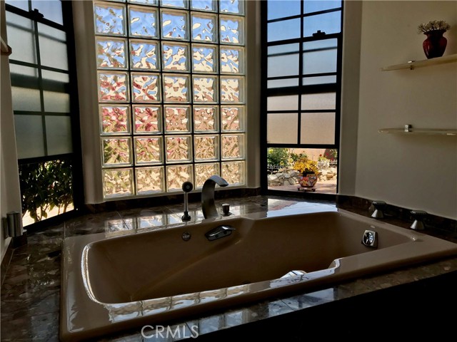 Master Bath Spa Tub
