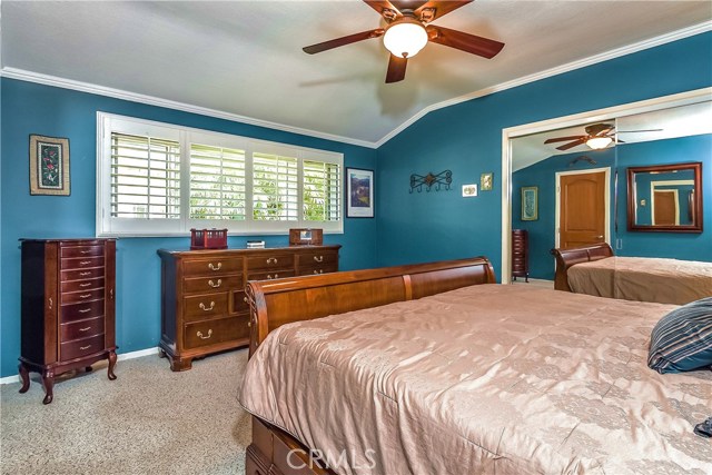 The Master Bedroom has a coffered ceiling and  anew large full wall window which looks out onto the lush landscaping and brings in light.